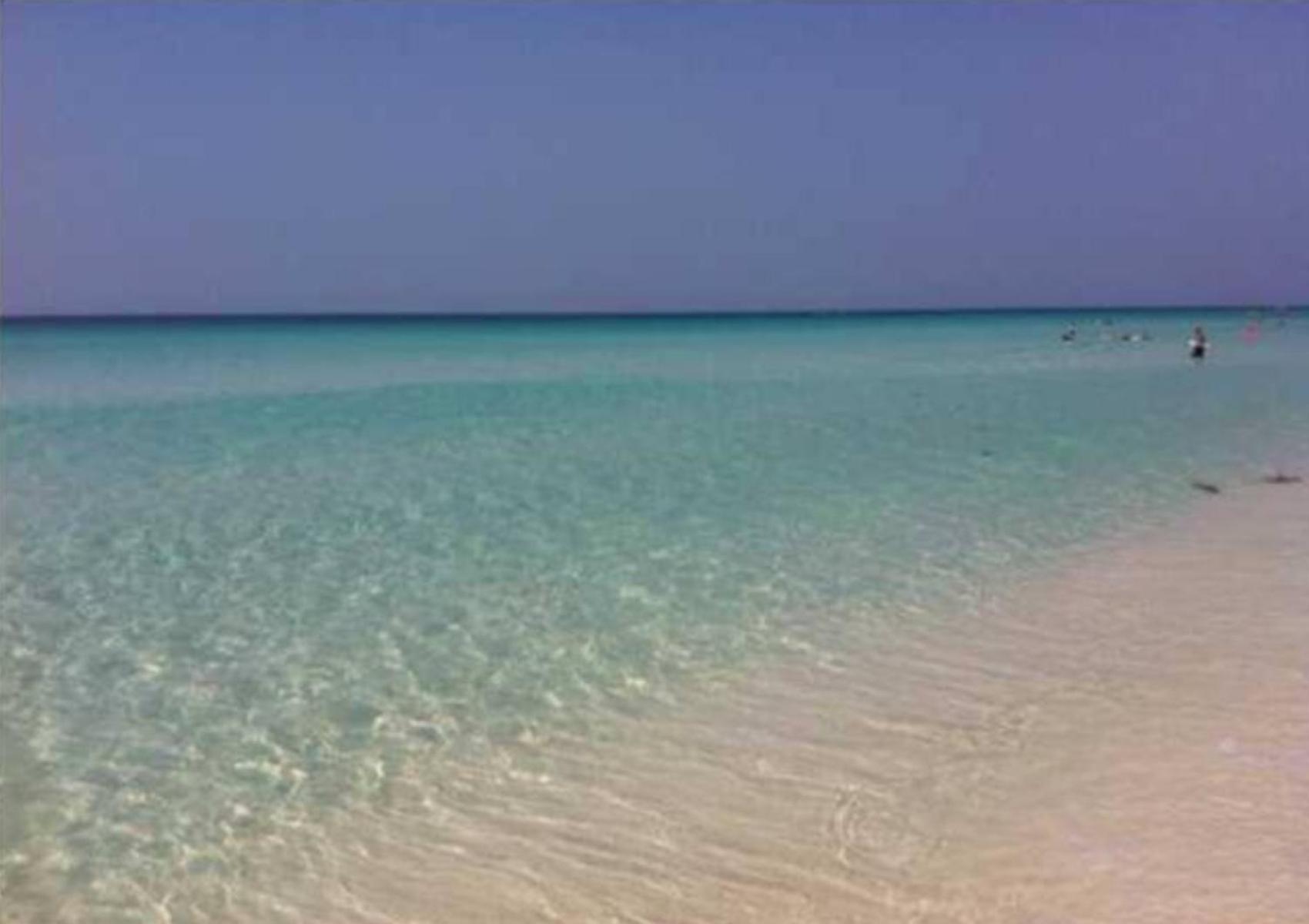 Say Yes To Spring! 4Br Home W Private Pool 2 Min To Destin Beaches Экстерьер фото